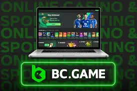 Everything You Need to Know Bc Game Faq Everything You Need to Know Bc Game Faq