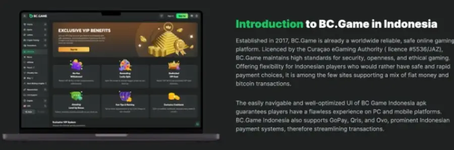 Menemukan Keseruan di Bc Game Casino 2